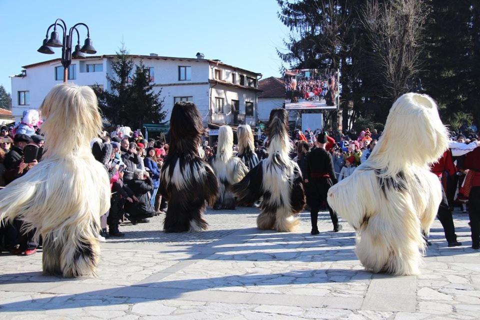 Hotel Alpin - 91 Bansko Exteriér fotografie