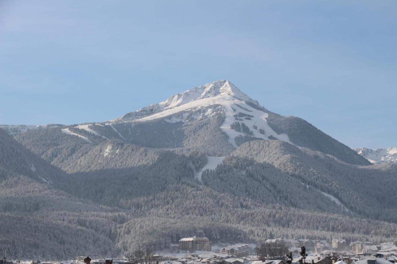 Hotel Alpin - 91 Bansko Exteriér fotografie