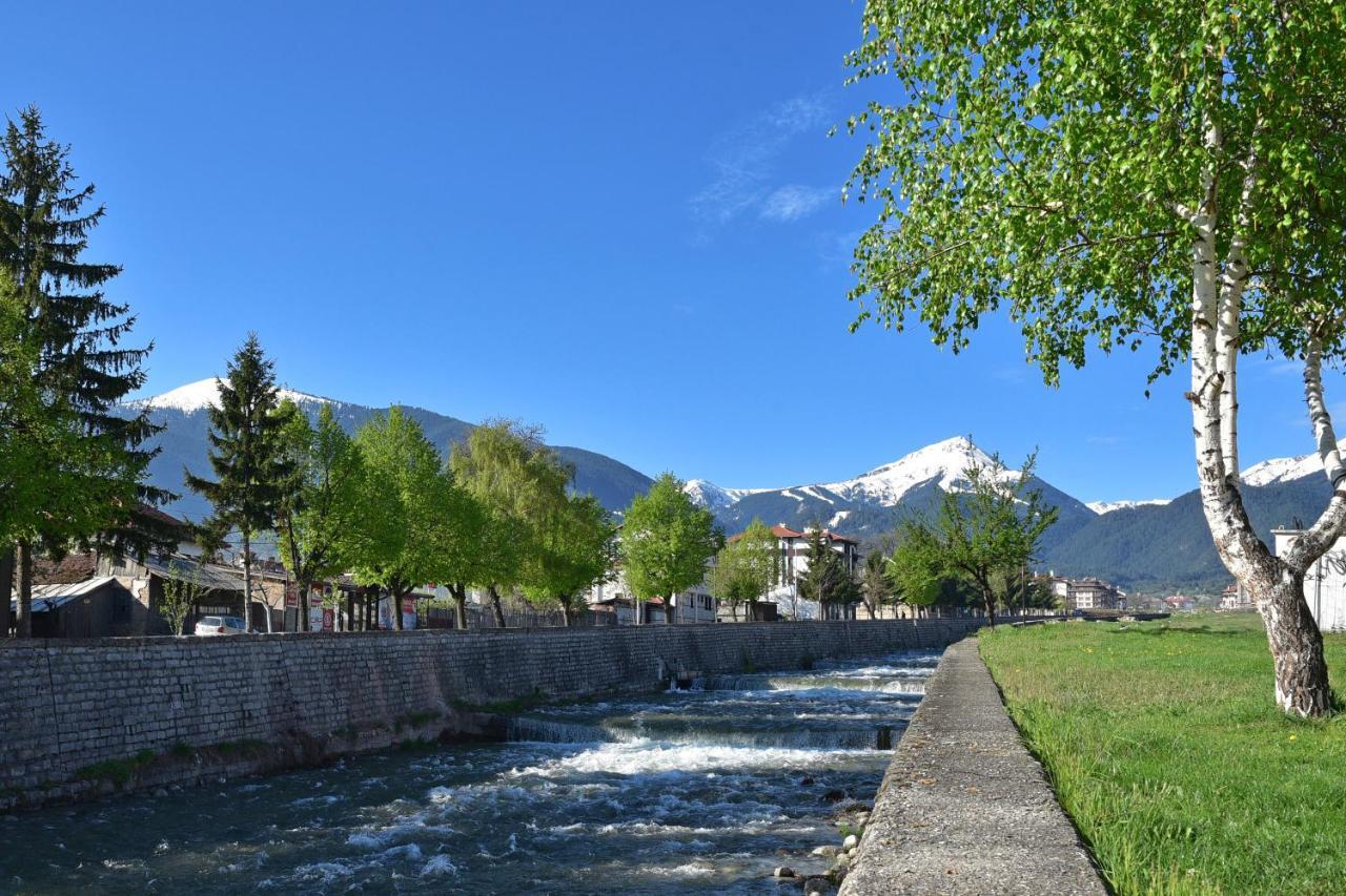Hotel Alpin - 91 Bansko Exteriér fotografie